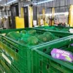 Aldi begins fresh-produce operations at £500m Bardon site