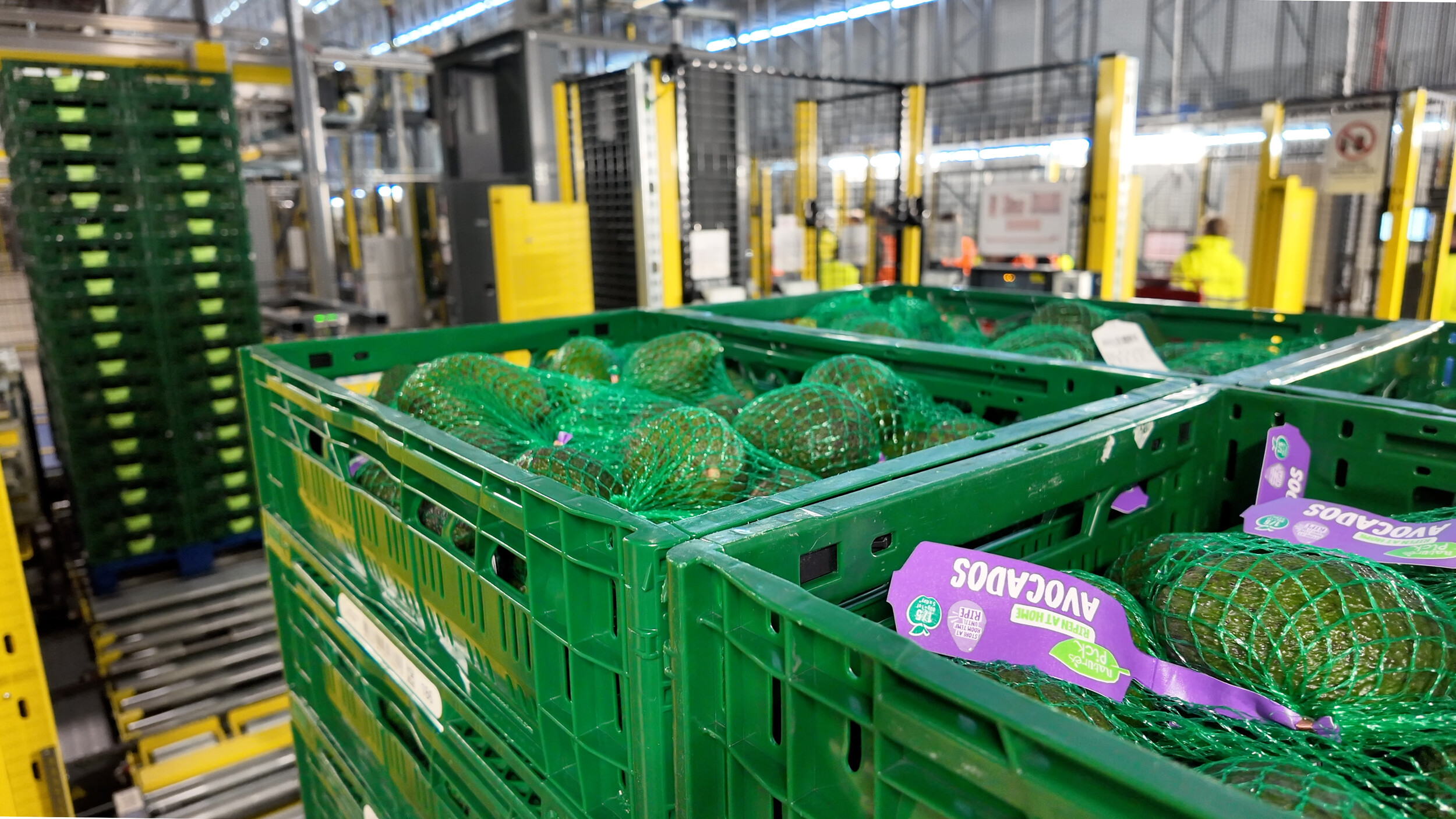Aldi begins fresh-produce operations at £500m Bardon site